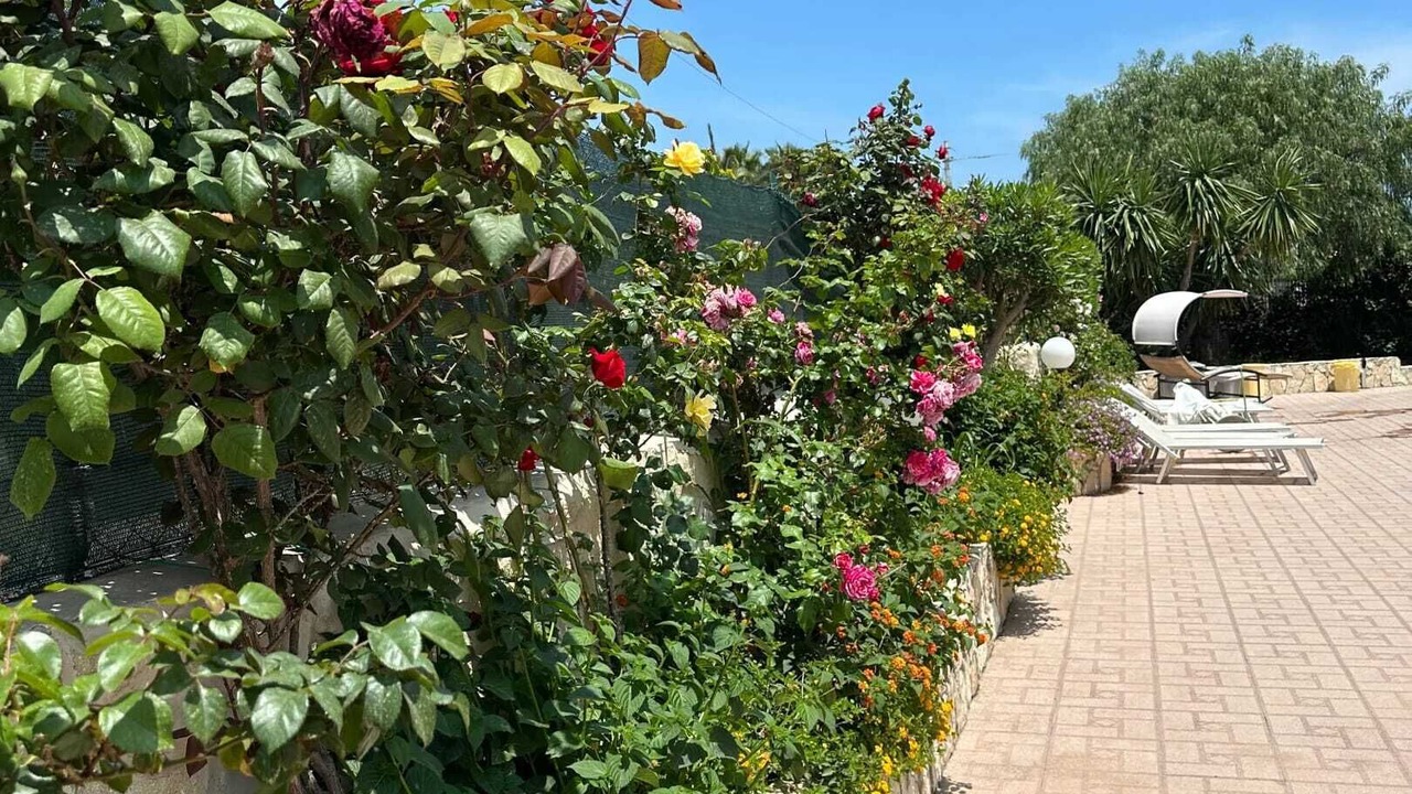 Photo of Outdoor in Fontane Bianche