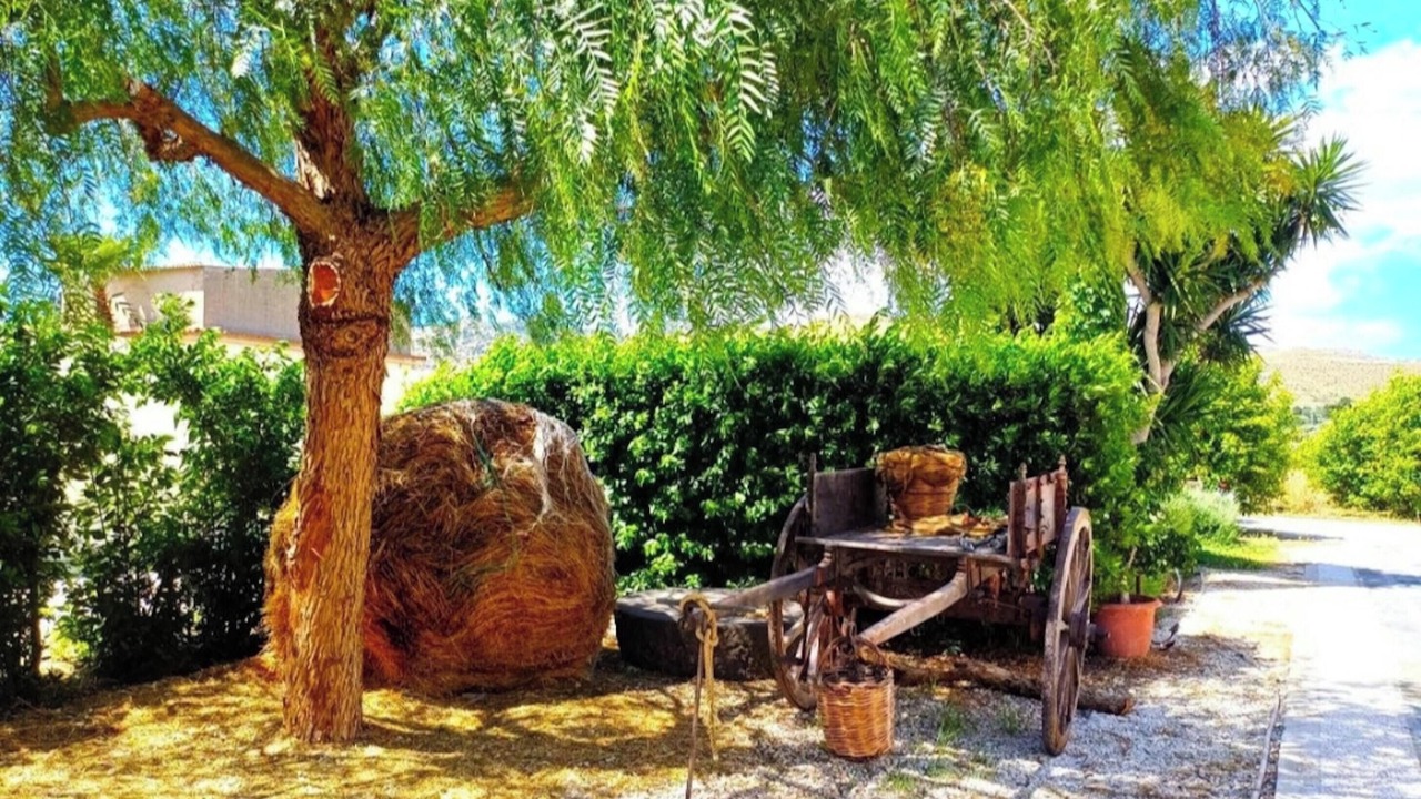 Photo of Outdoor in Avola