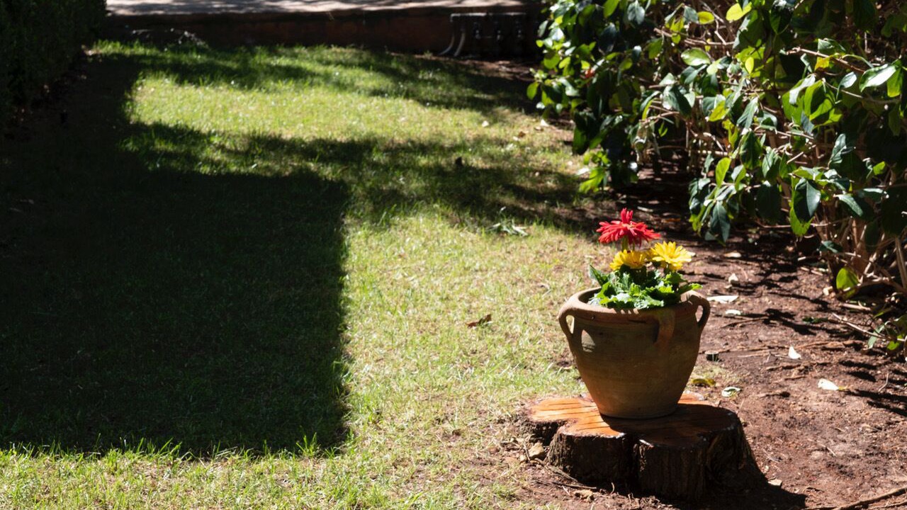 Photo of Outdoor in Castelluzzo
