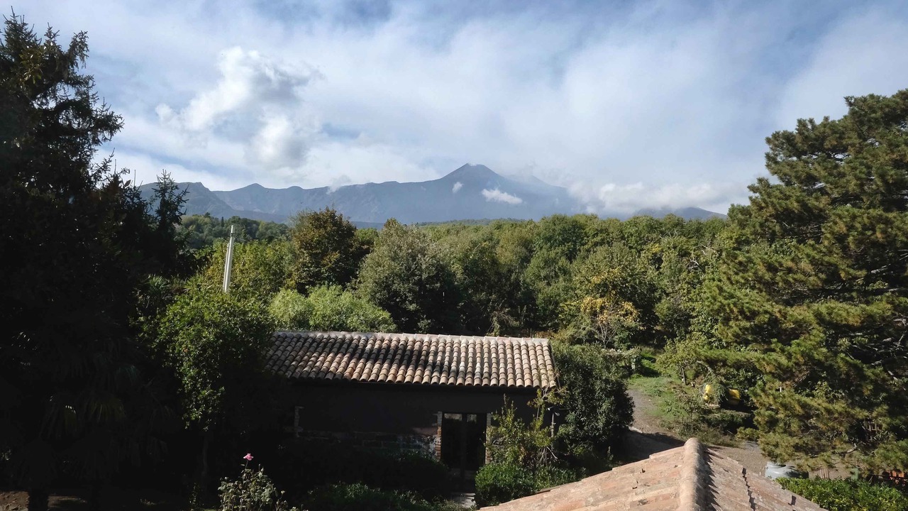 Photo of Outdoor in Milo