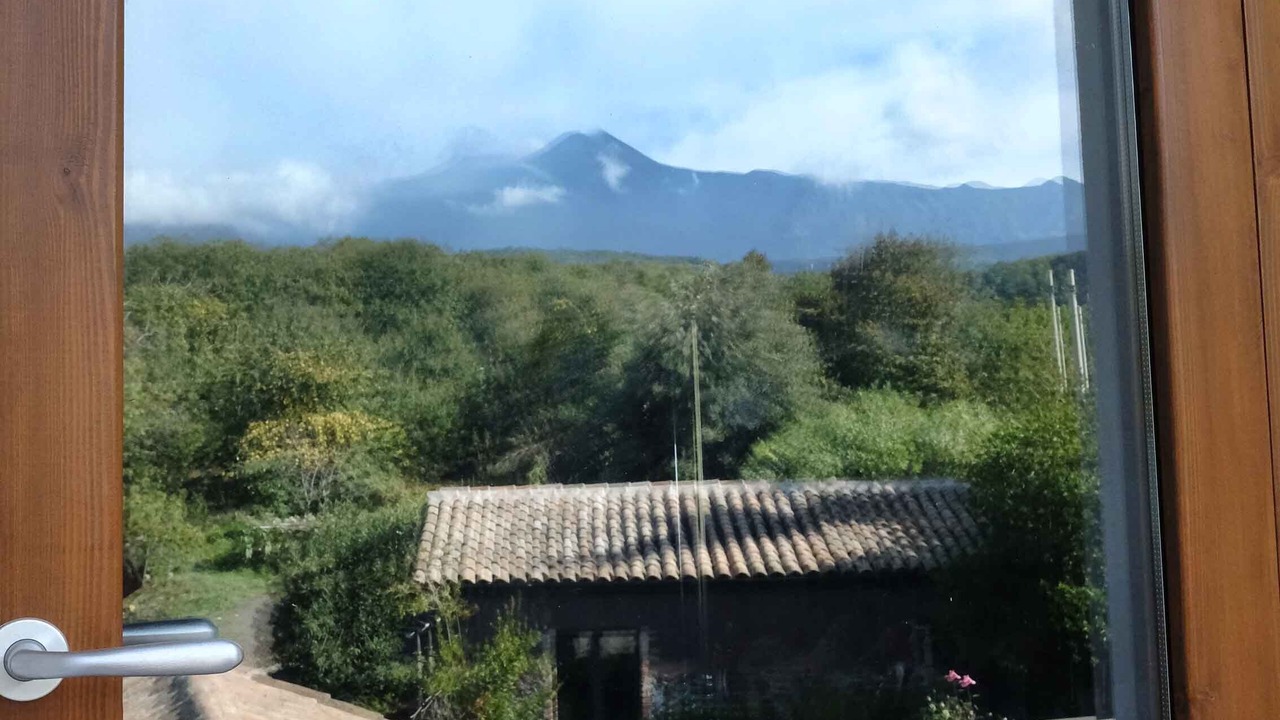 Photo of Outdoor in Milo