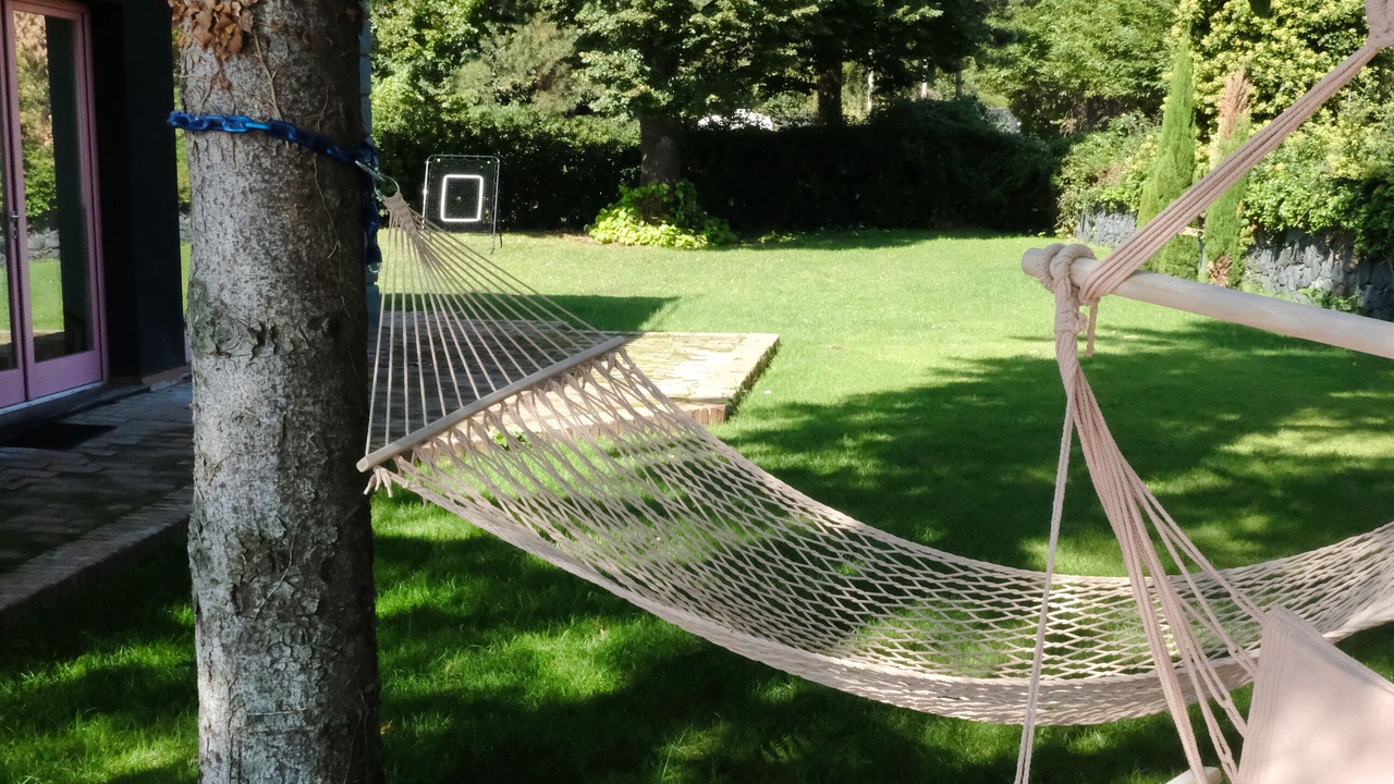 Photo of Outdoor in Milo