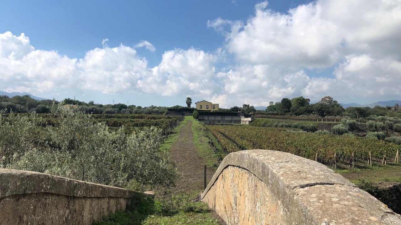 Photo of Others in Castiglione di Sicilia