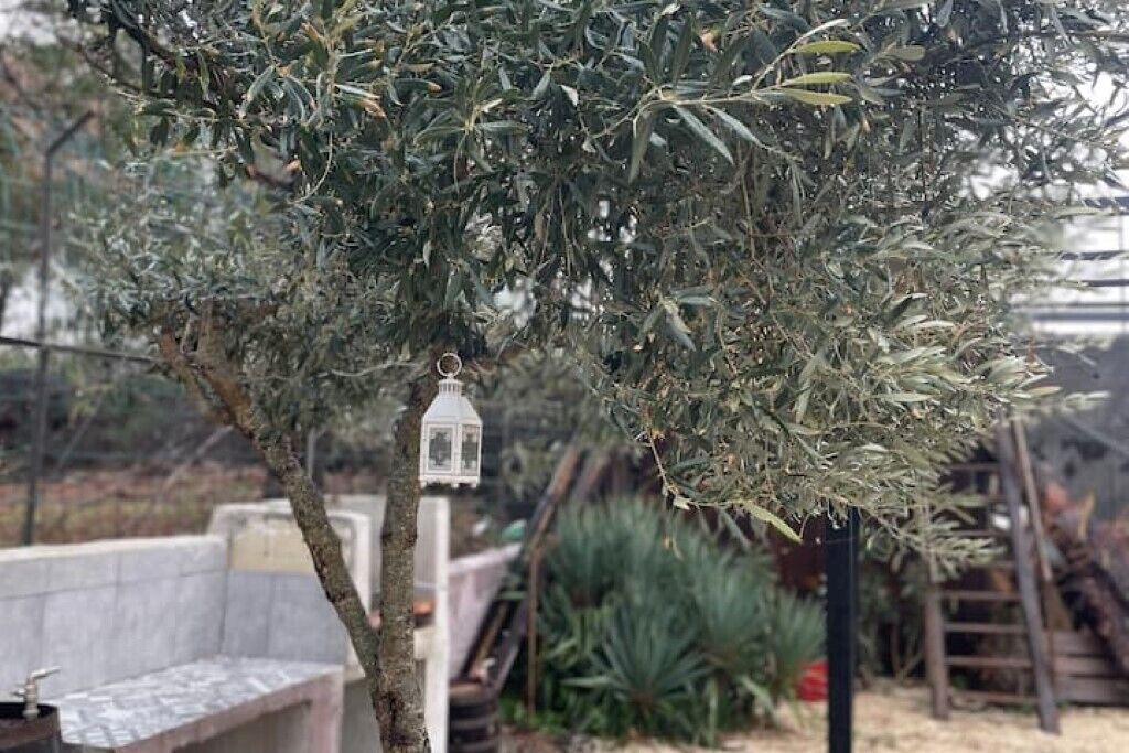 Photo of Outdoor in Nicolosi