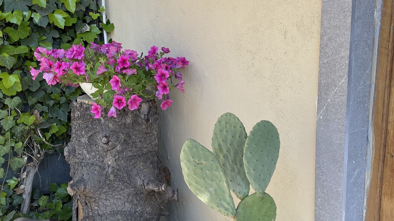 Photo of Outdoor in Nicolosi