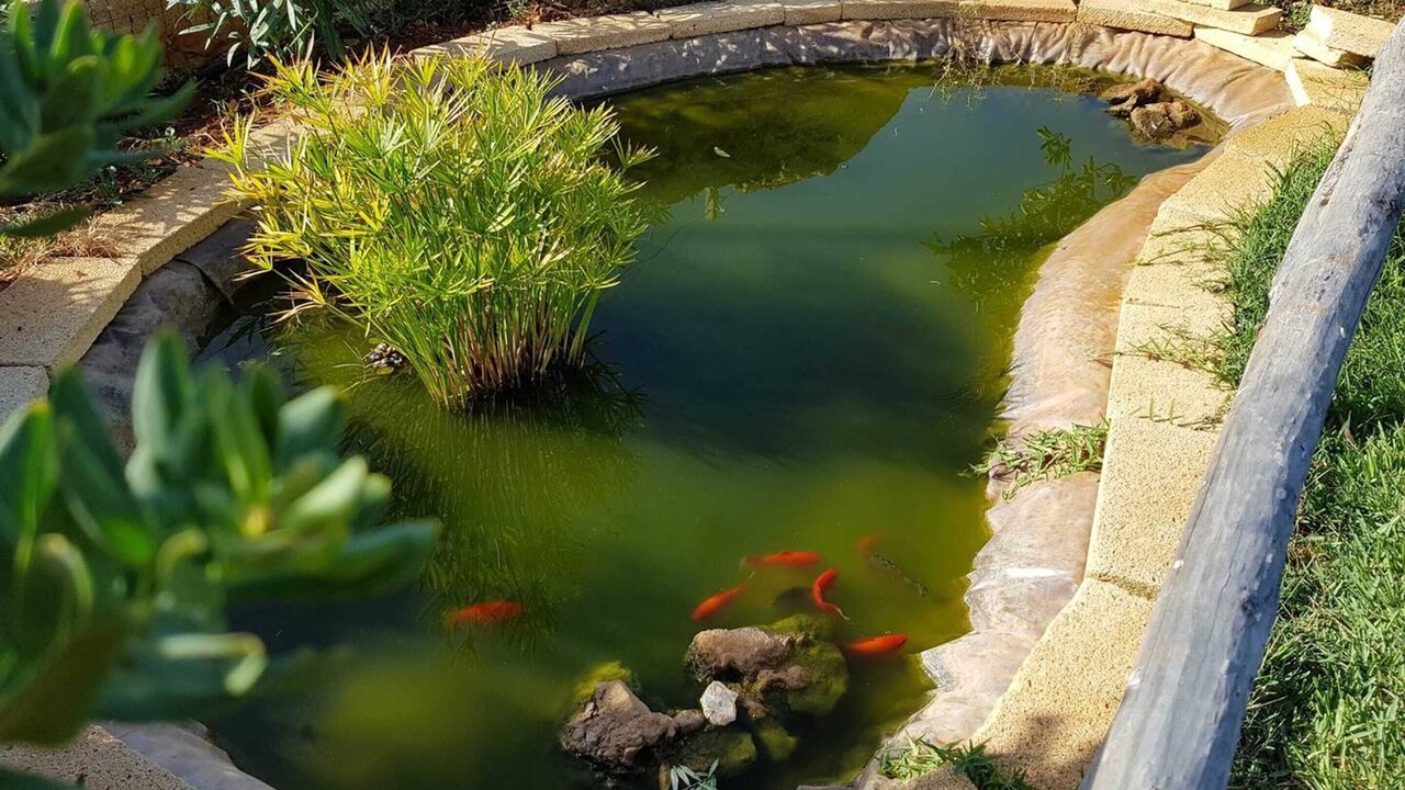 Photo of Outdoor in Trapani