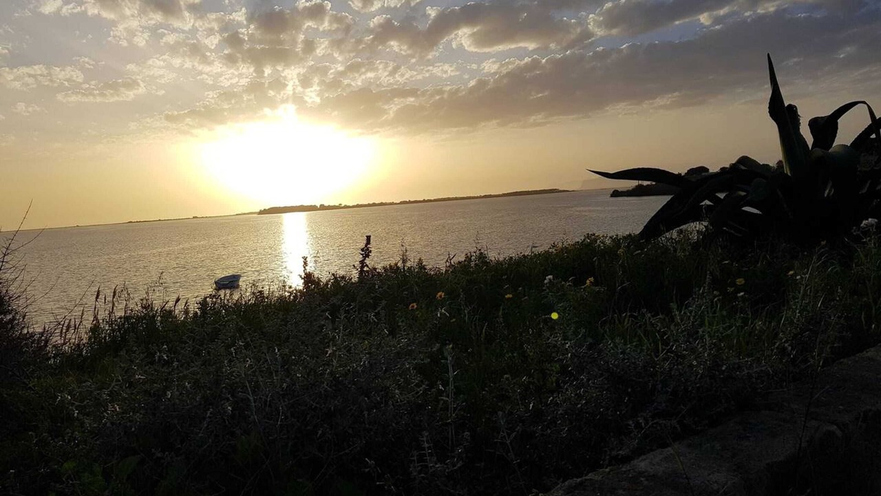 Photo of Others in Trapani