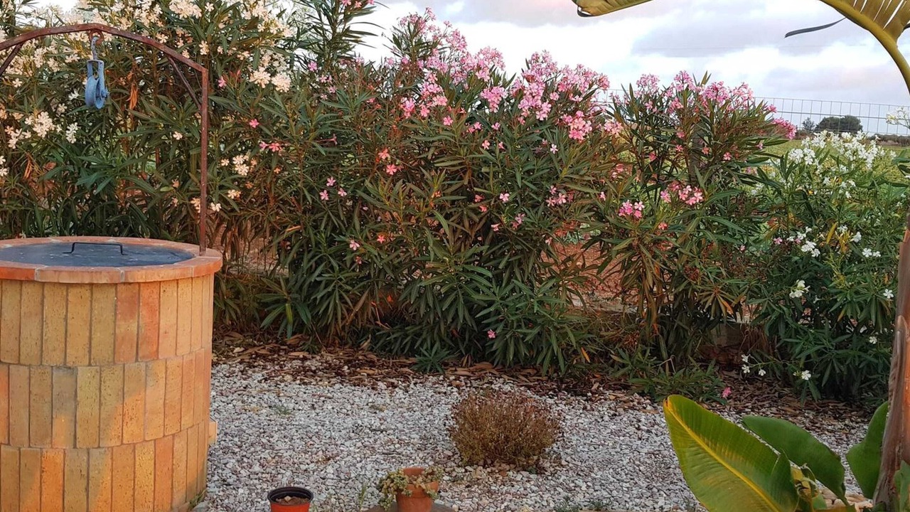 Photo of Outdoor in Trapani