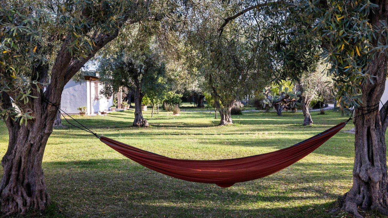 Photo of Outdoor in Augusta