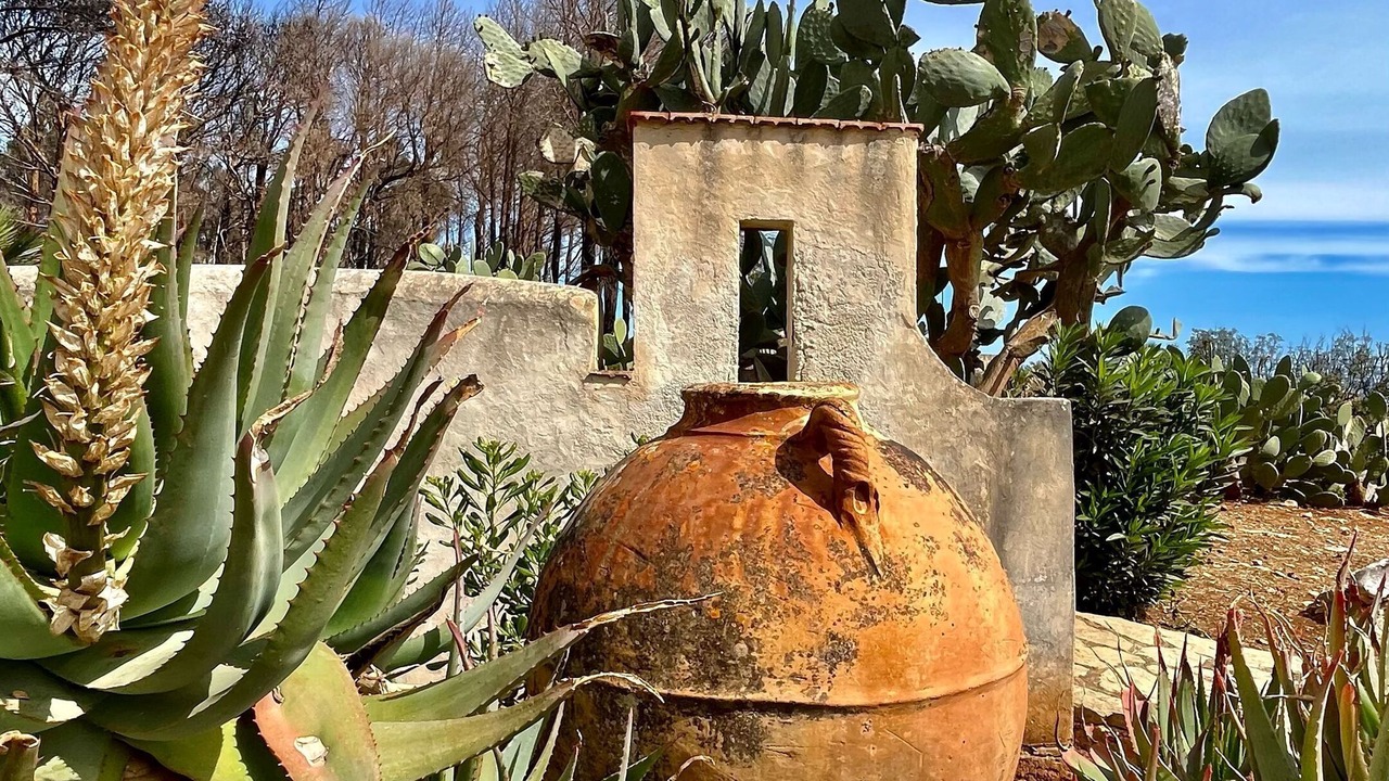 Photo of Outdoor in San Vito Lo Capo