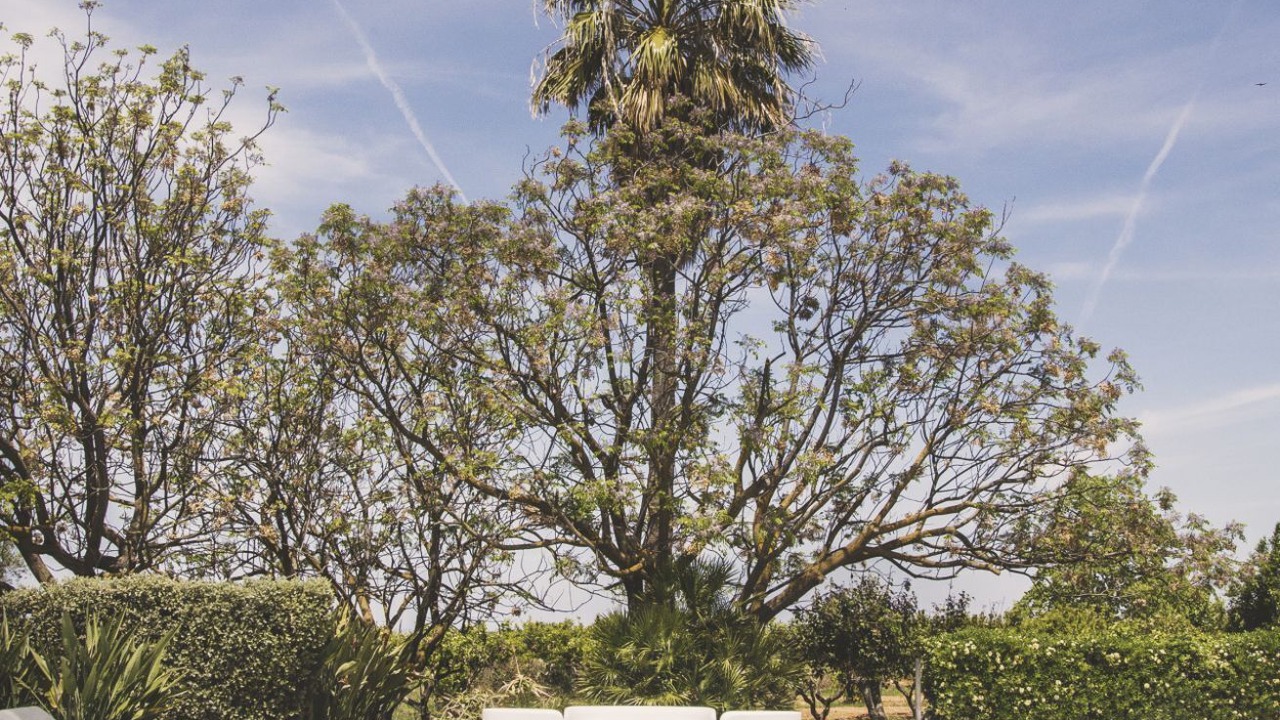 Photo of Outdoor in Partinico
