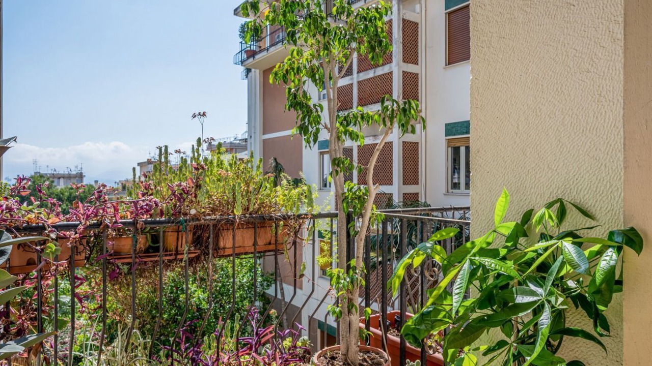 Photo of Outdoor in Province of Messina