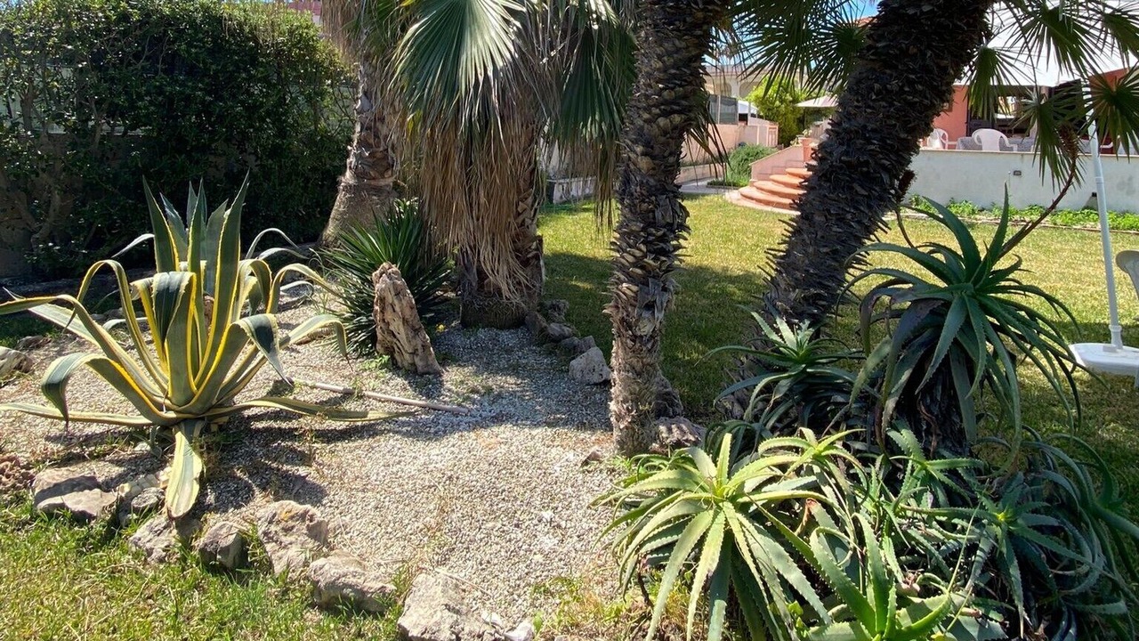 Photo of Outdoor in San Lorenzo