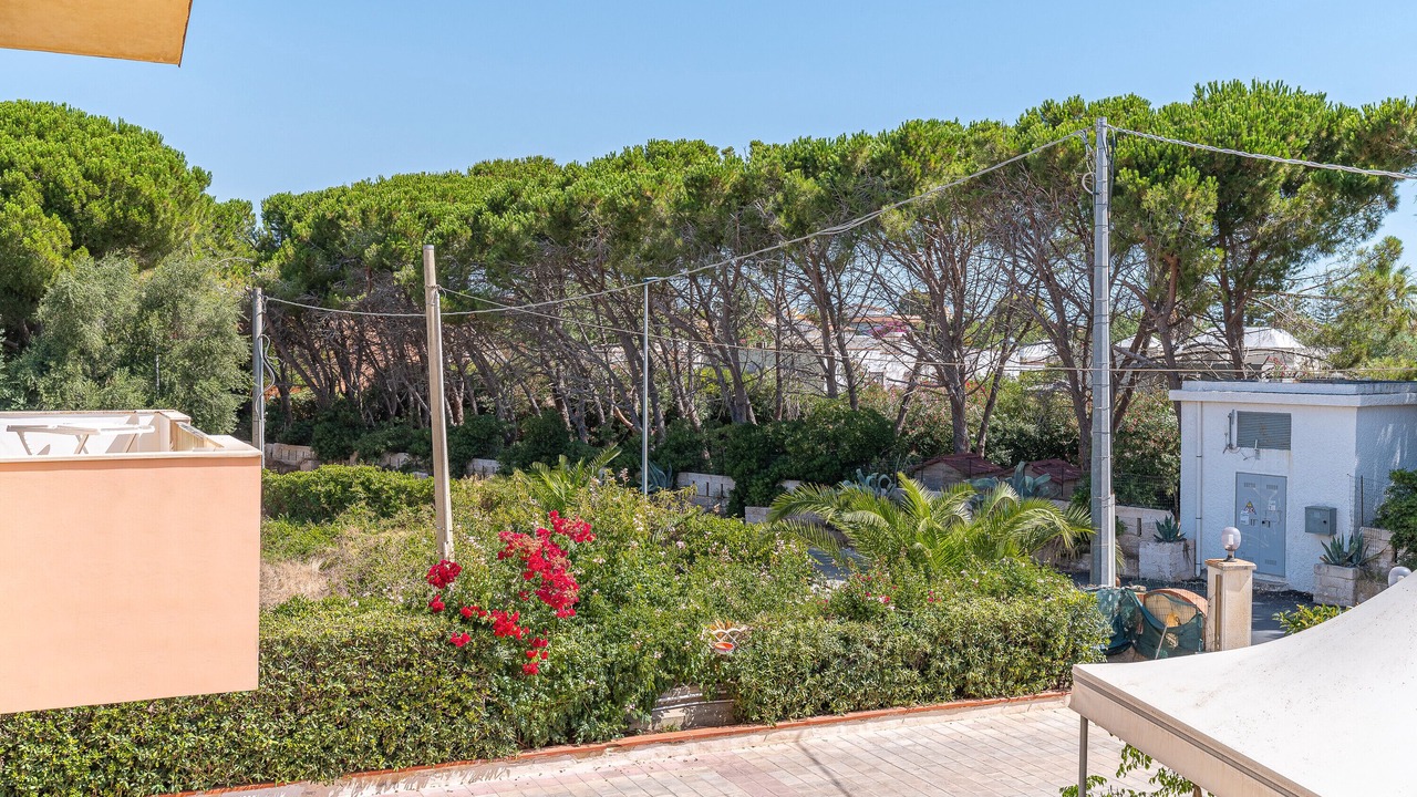 Photo of Outdoor in San Lorenzo