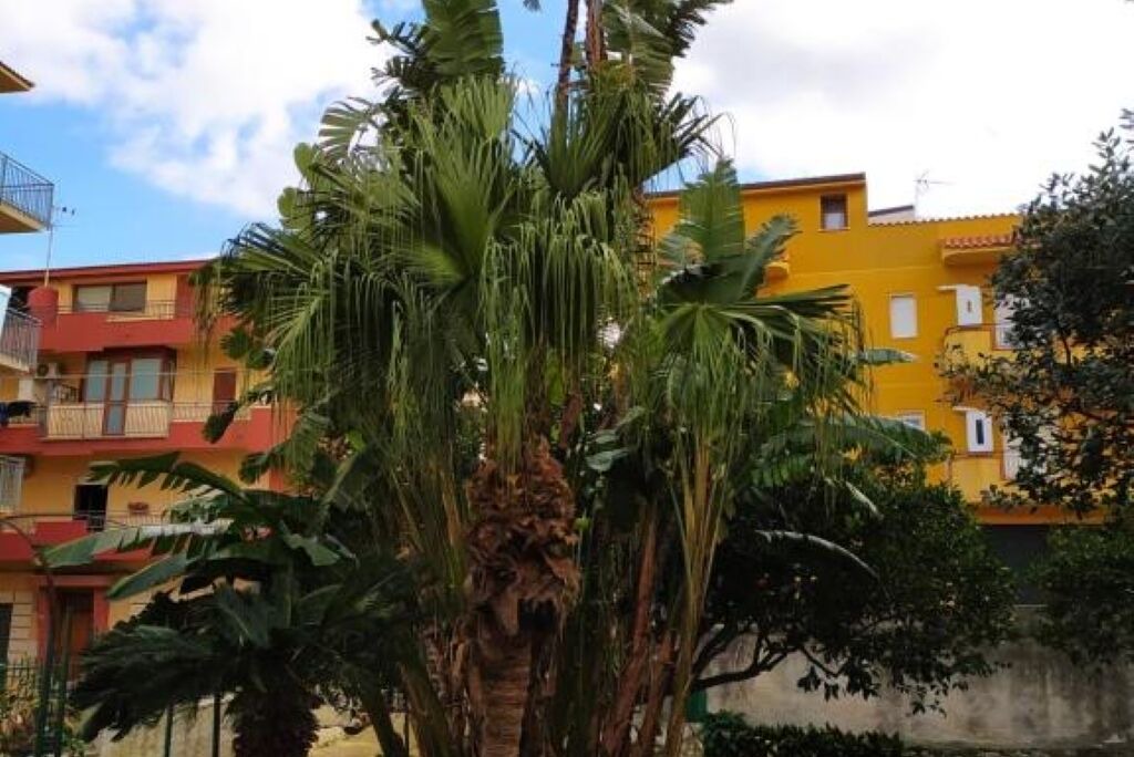 Photo of Outdoor in Alcamo