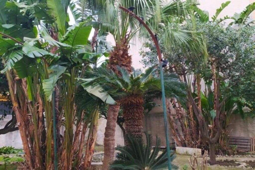 Photo of Outdoor in Alcamo