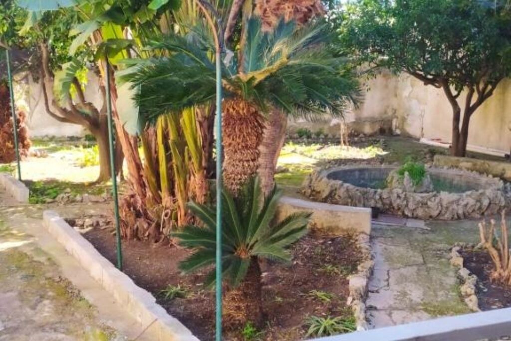 Photo of Outdoor in Alcamo