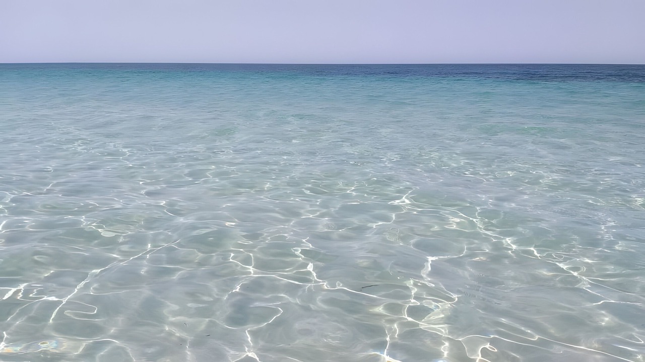 Photo of Others in Marsala