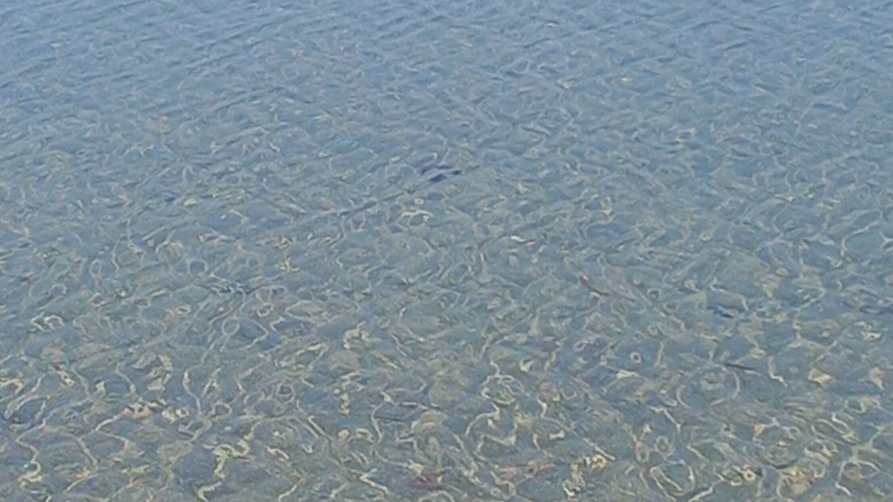 Photo of Others in Marsala