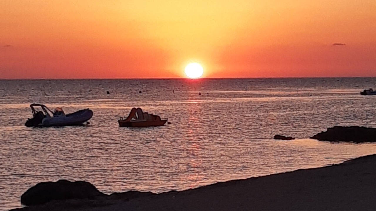 Photo of Others in Marsala