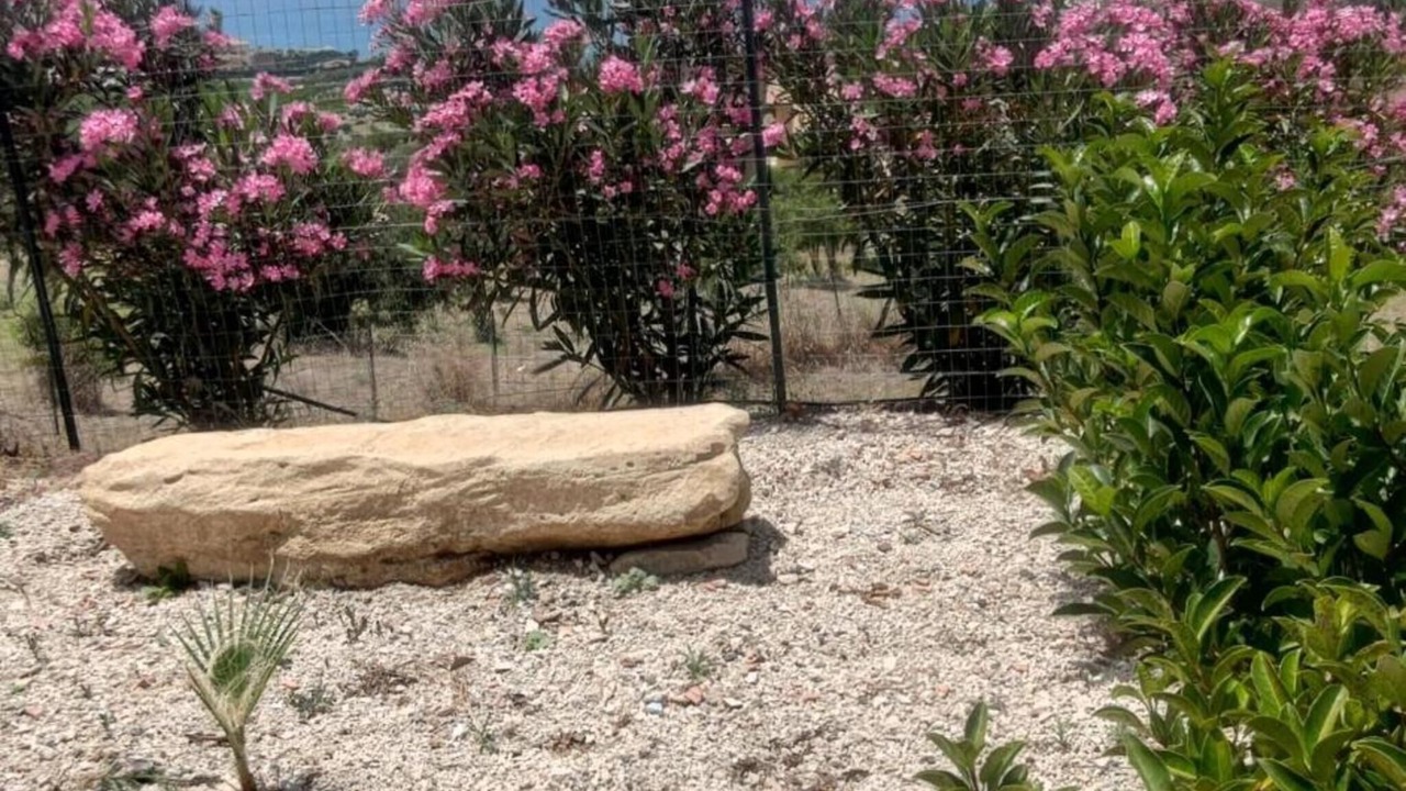 Photo of Outdoor in Realmonte