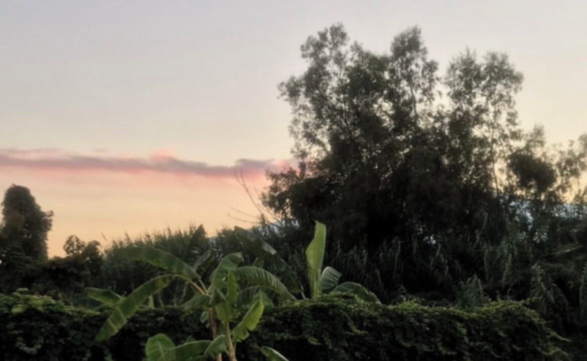 Photo of Outdoor in Calatabiano