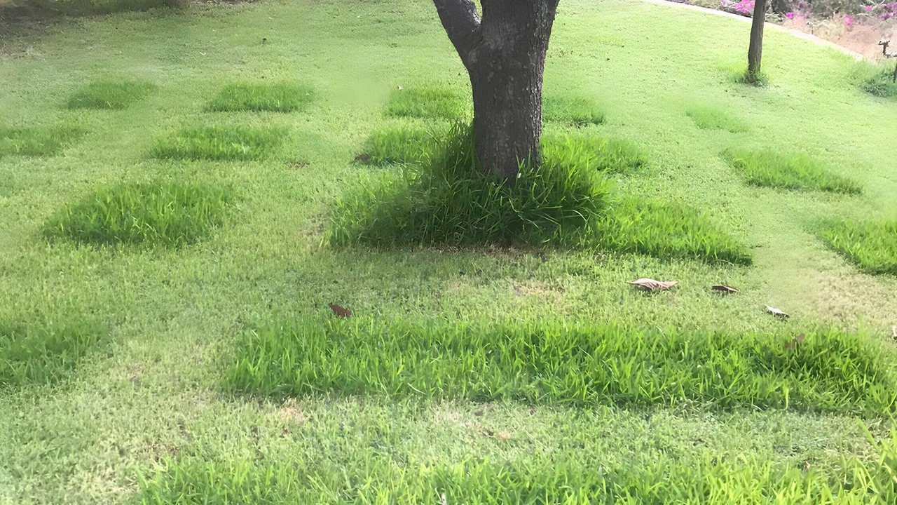 Photo of Outdoor in Addaura