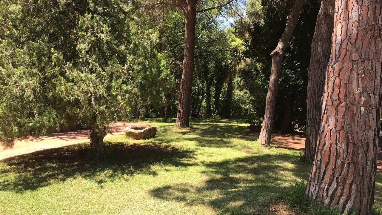Photo of Outdoor in Addaura