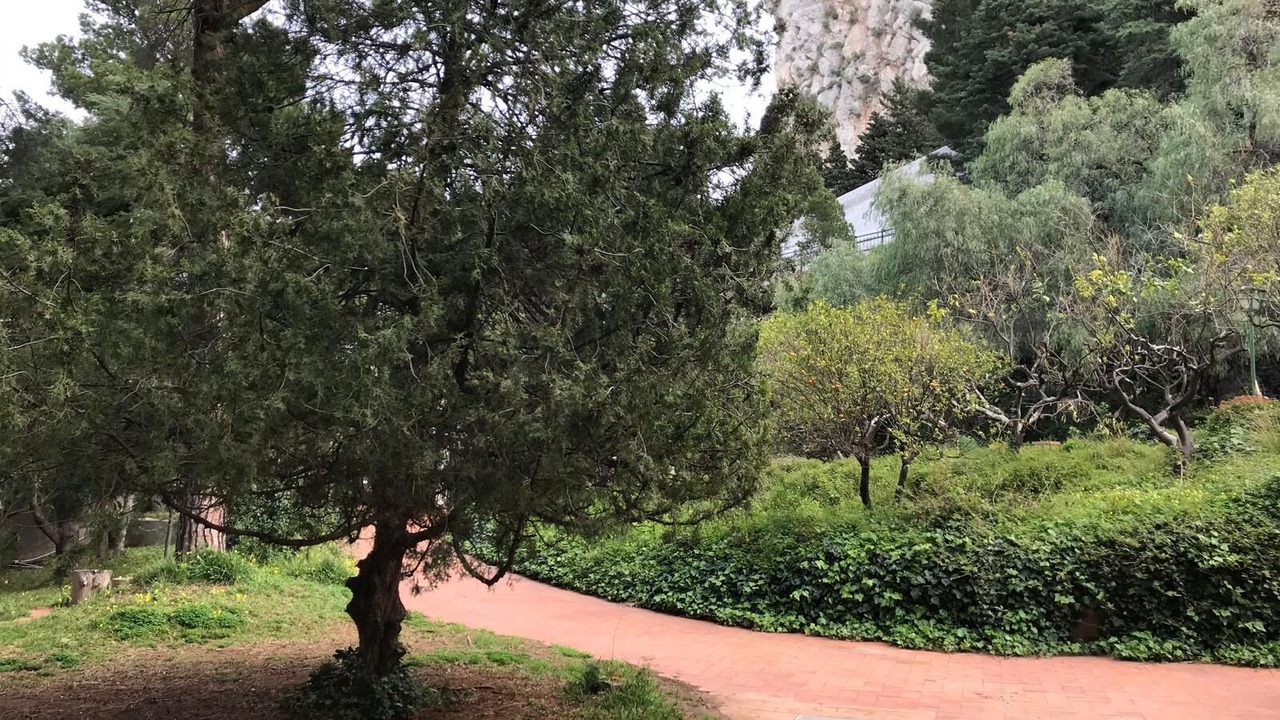 Photo of Outdoor in Addaura