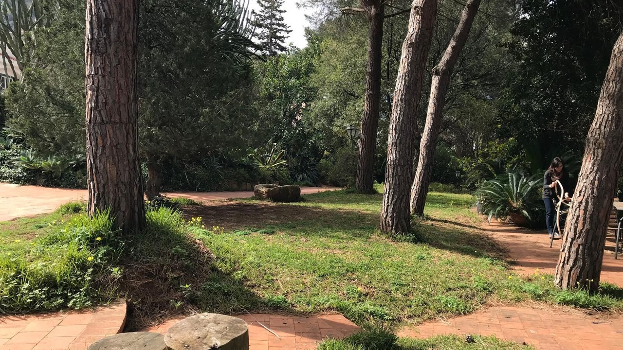 Photo of Outdoor in Addaura