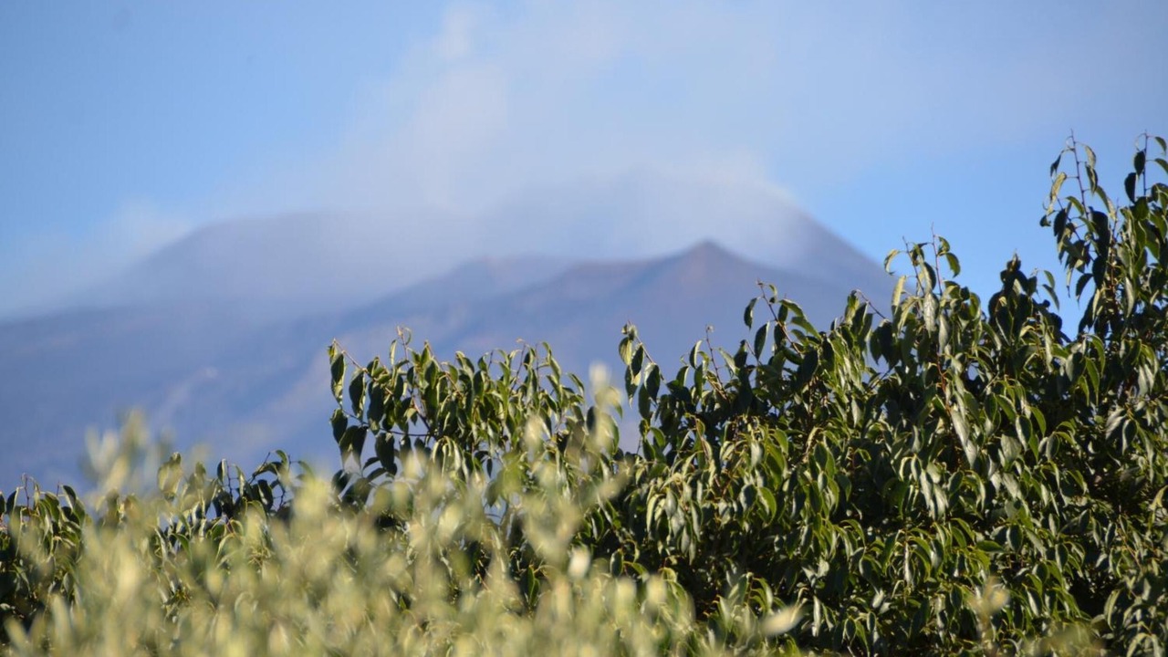 Photo of Others in Mascalucia