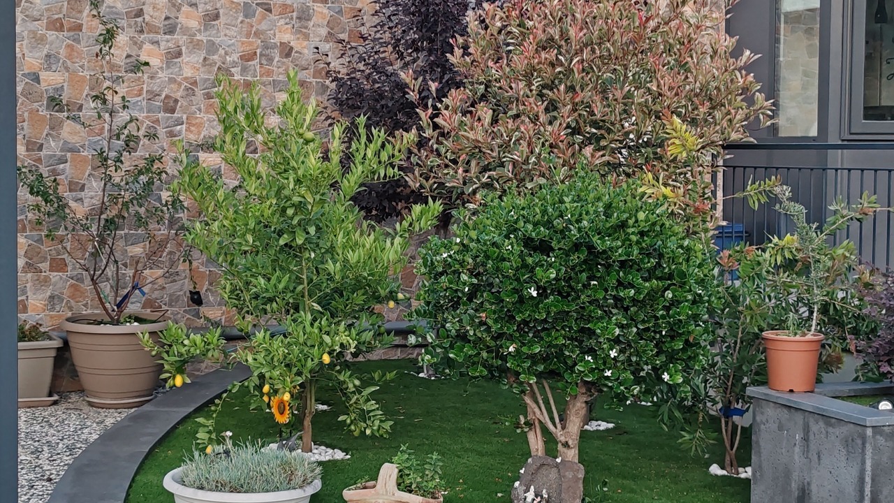 Photo of Outdoor in San Giovanni di Galermo