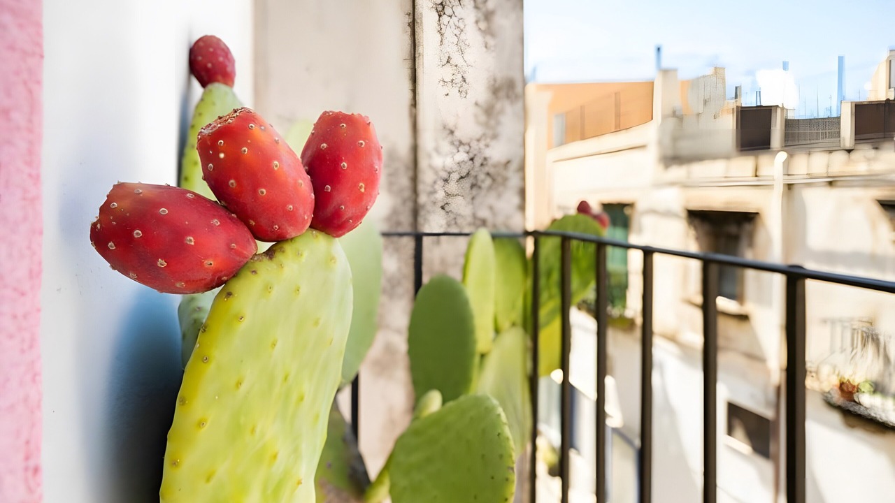 Photo of Outdoor in Lipari Historic Centre