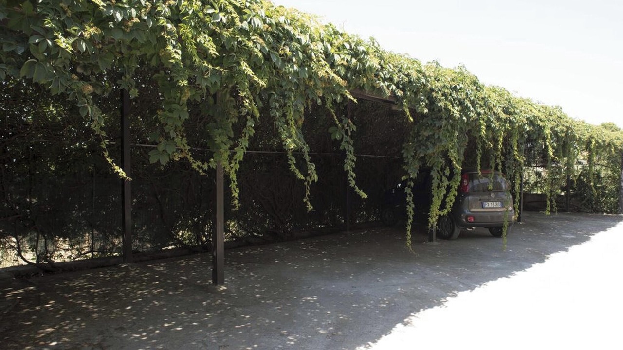 Photo of Outdoor in San Giorgio