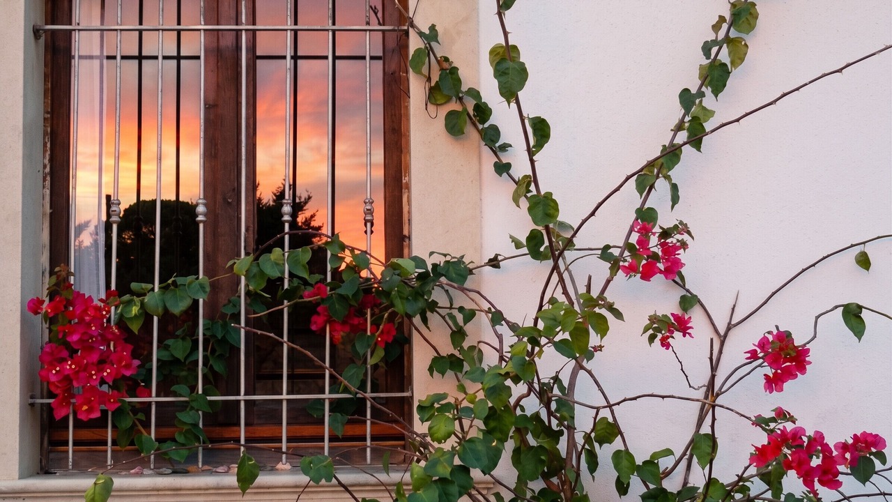 Photo of Outdoor in Vittoria
