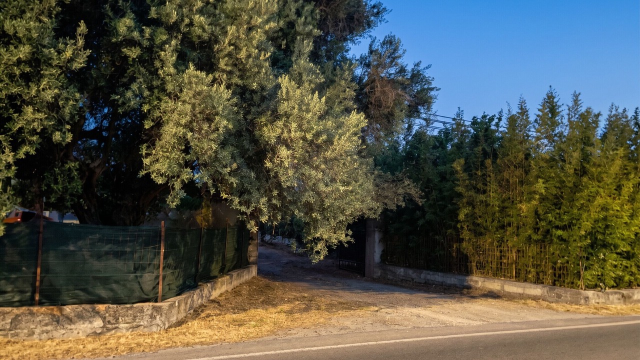 Photo of Others in Vittoria