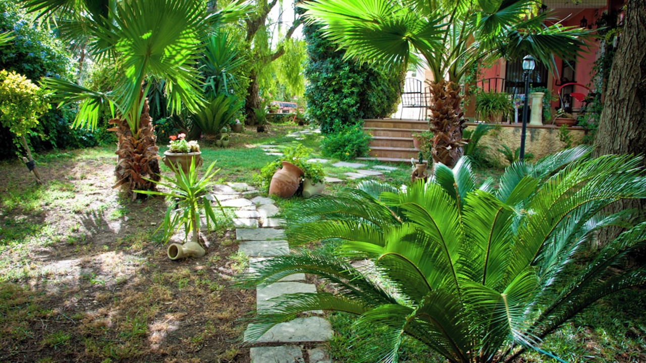 Photo of Outdoor in Pozzallo