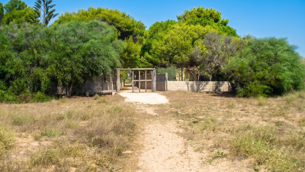 Photo of Outdoor in Granelli