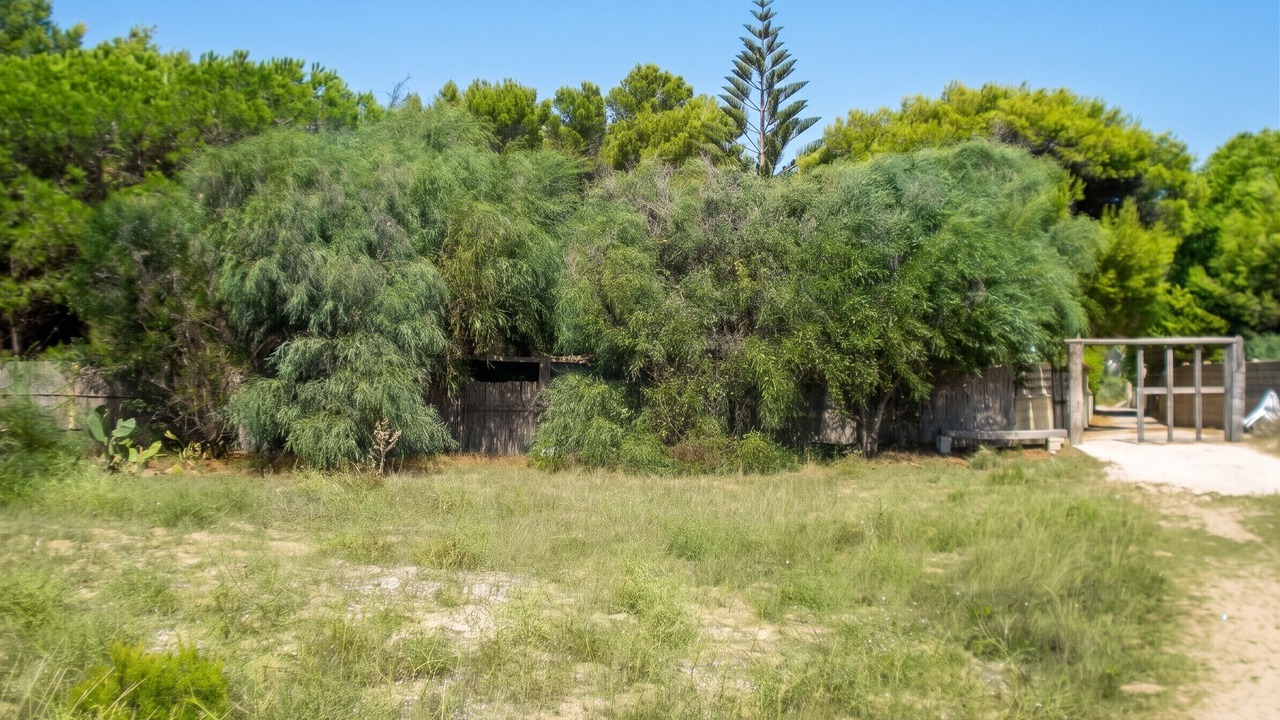 Photo of Outdoor in Granelli