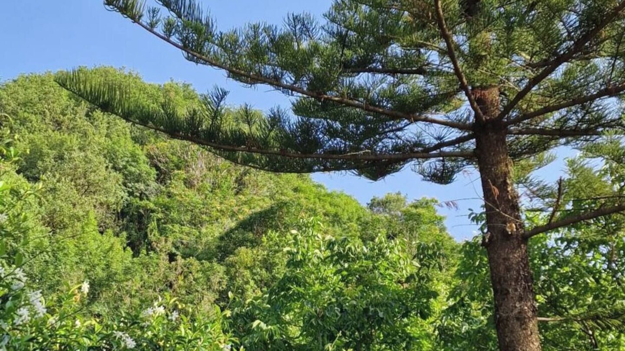 Photo of Outdoor in Rometta