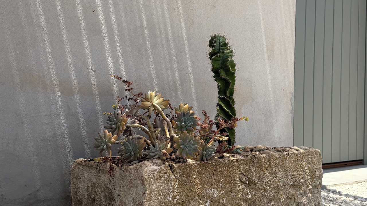 Photo of Outdoor in Ragusa