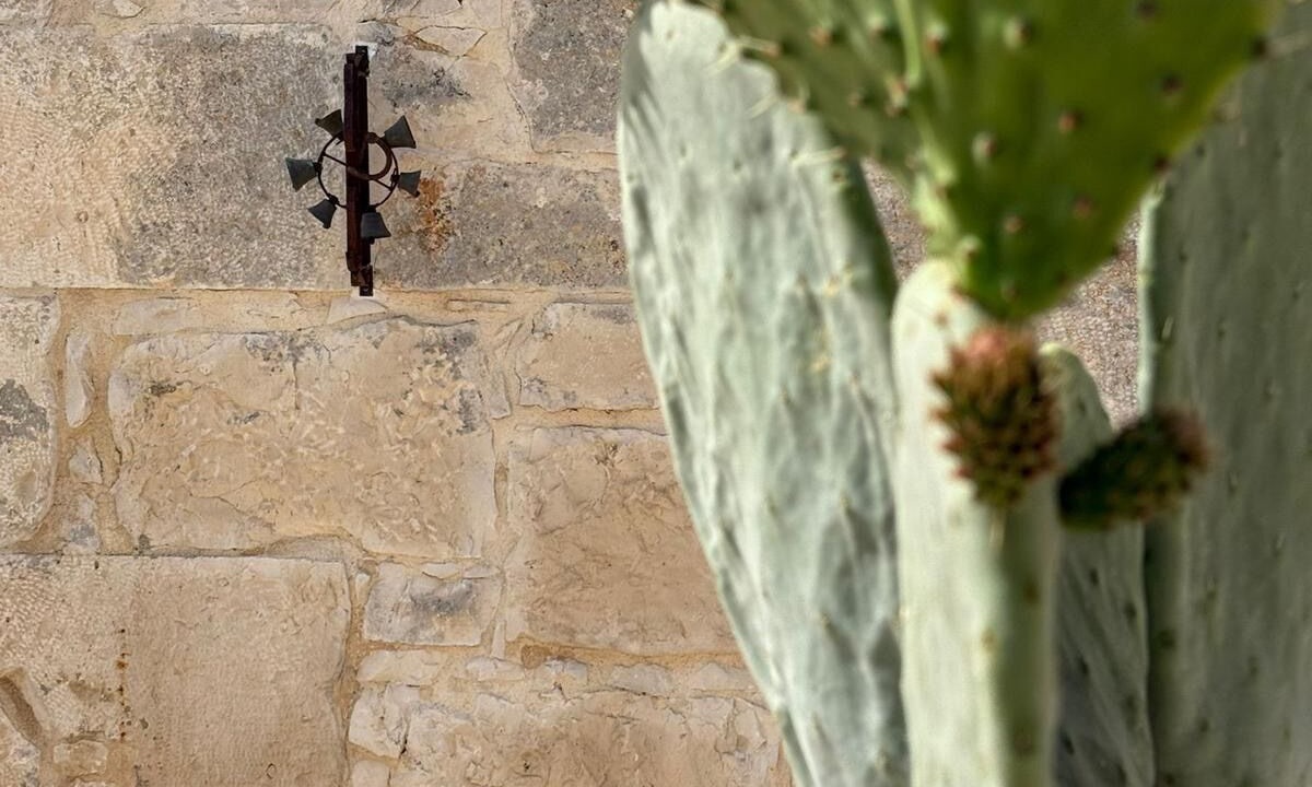 Photo of Outdoor in Ragusa