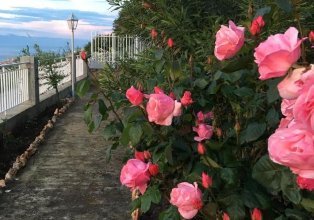 Photo of Outdoor in Santa Domenica