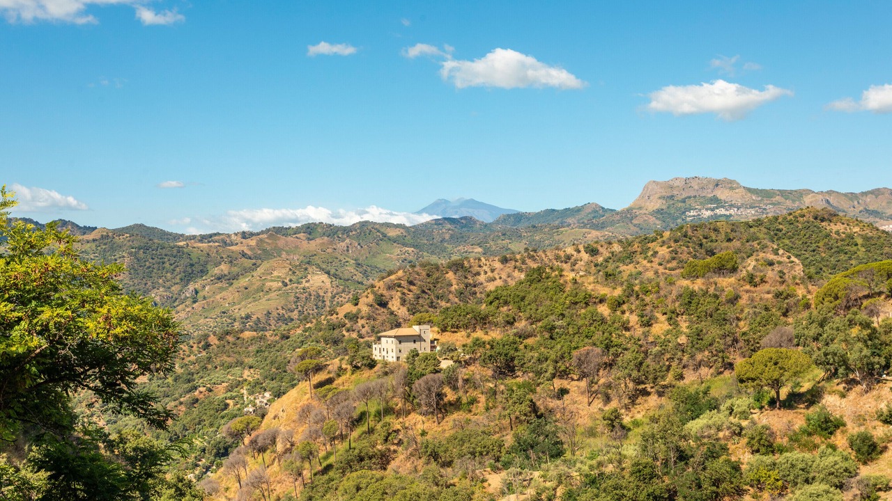 Photo of Others in Savoca