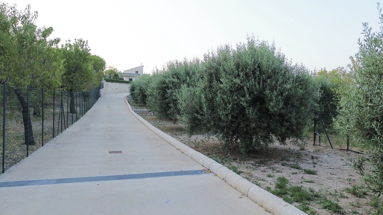 Photo of Outdoor in Avola