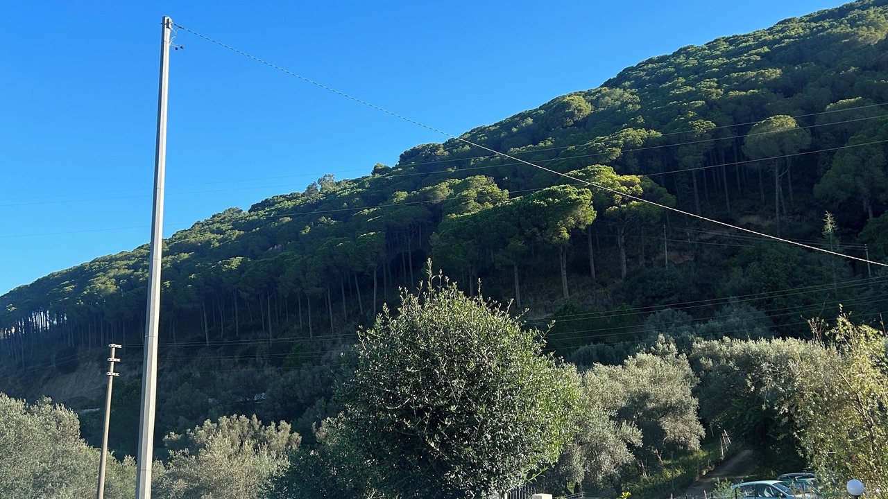 Photo of Outdoor in Iria