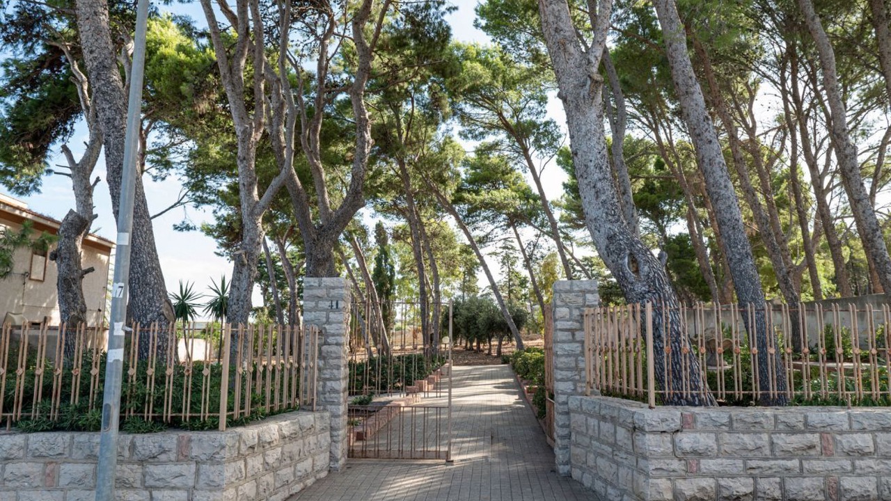 Photo of Outdoor in Pizzolungo