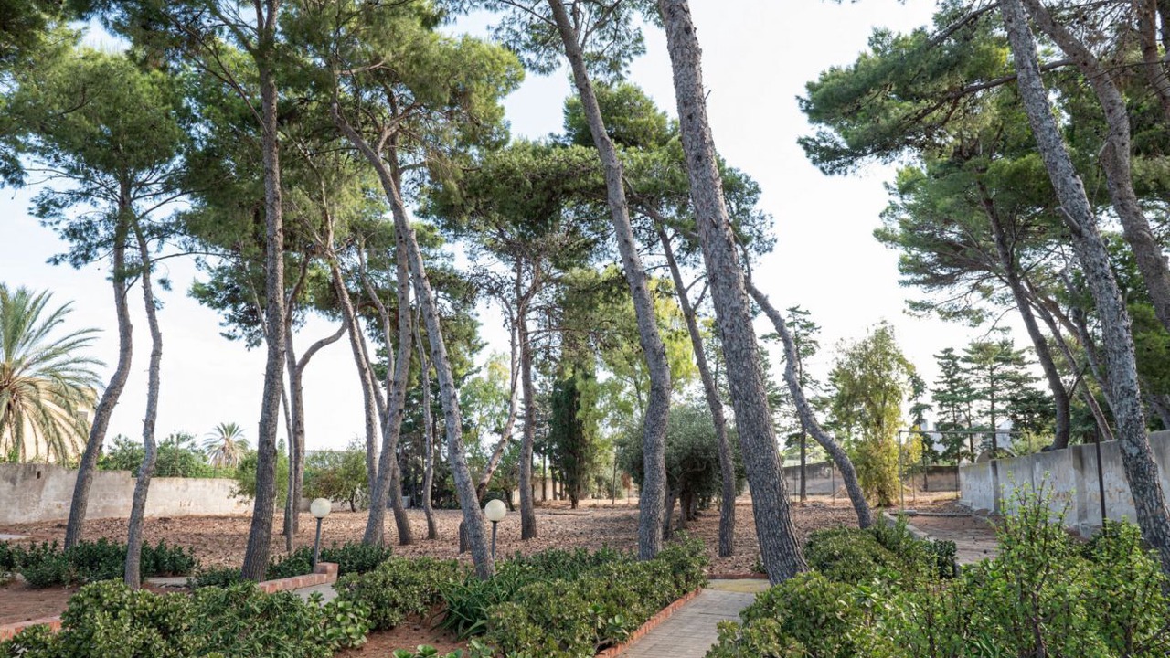 Photo of Outdoor in Pizzolungo