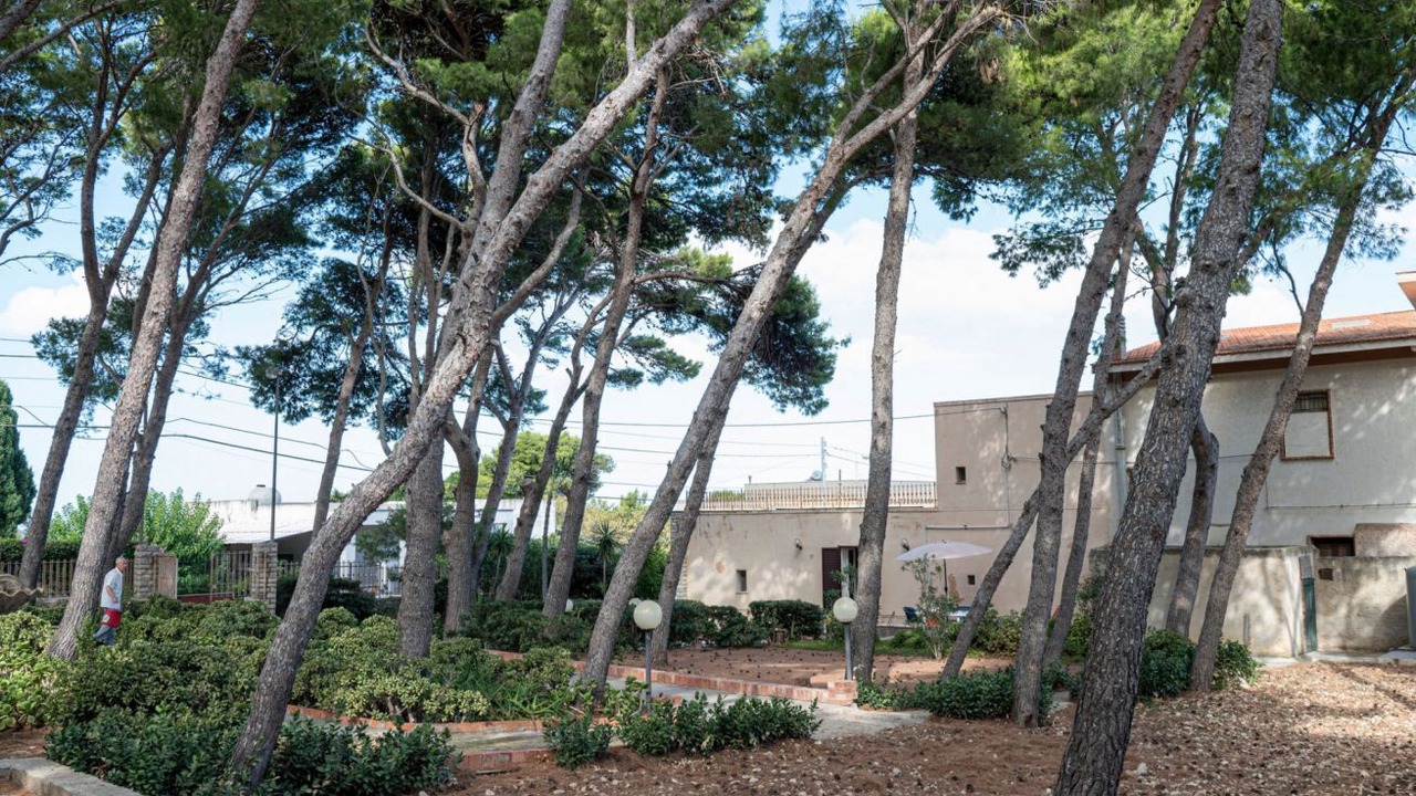 Photo of Outdoor in Pizzolungo