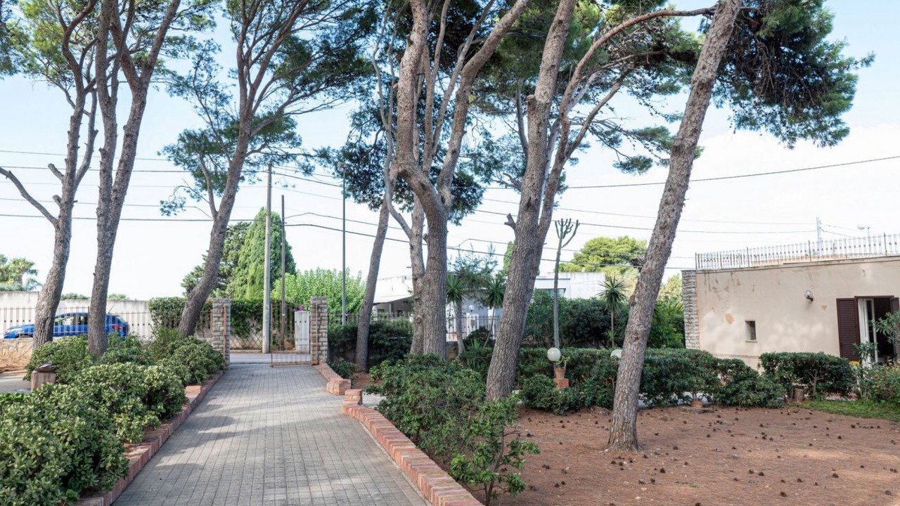Photo of Outdoor in Pizzolungo
